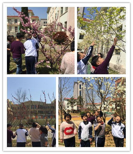 201704121540583547.jpg 201704121540583547.jpg