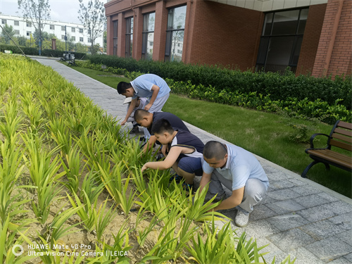 2022.9.13拔草 發(fā)布 (3).jpg