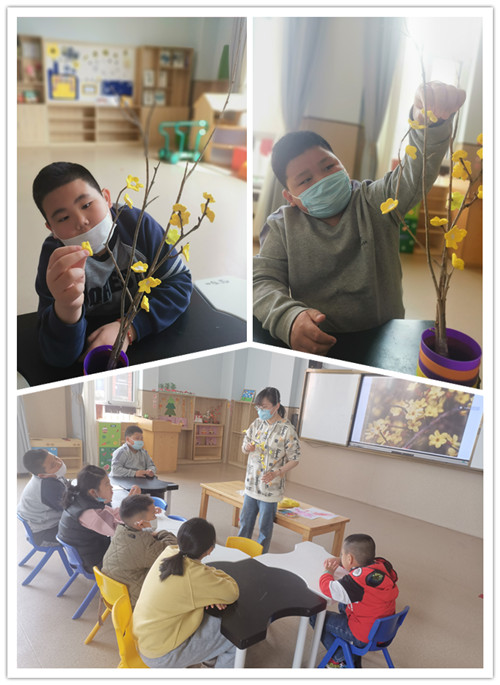 迎春.jpg 迎春.jpg