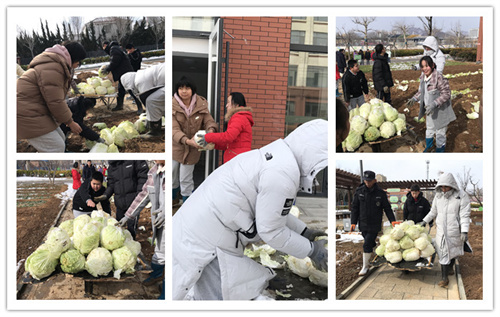 搬白菜.jpg 搬白菜.jpg