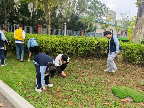 IMG_20251016_144507.jpg IMG_20251016_144507.jpg